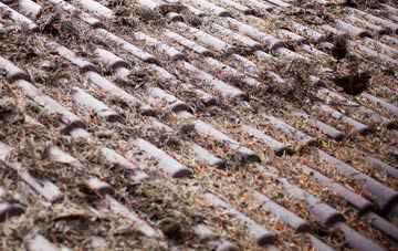 Black Pole roof cleaning companies