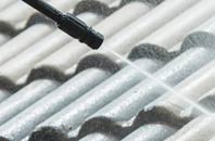 rated Black Pole roof cleaning companies