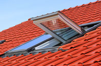 Black Pole roof window